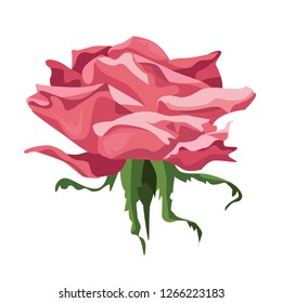 The Rose. Rose bud vector illustration. Decorative beauty elegant illustration for design