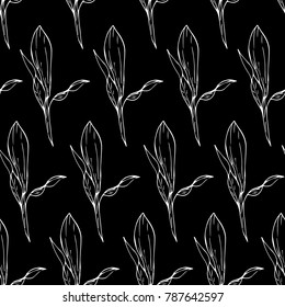 Rose Bud vector illustration. Doodle style. Design, print, decor, textile, paper