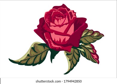 Rose buds and leaves. Vector illustration isolated on white background. For the design of weddings, shawls, fabrics, Mothers Day, Valentine's Day, covers, cards, invitations, congratulations.