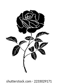 Rose buds vector silhouettes. Flowers design elements. Monochrome rose tattoo illustration.