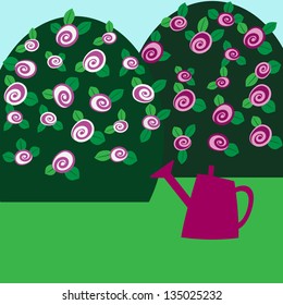 Rose bushes and watering.Vector illustration.