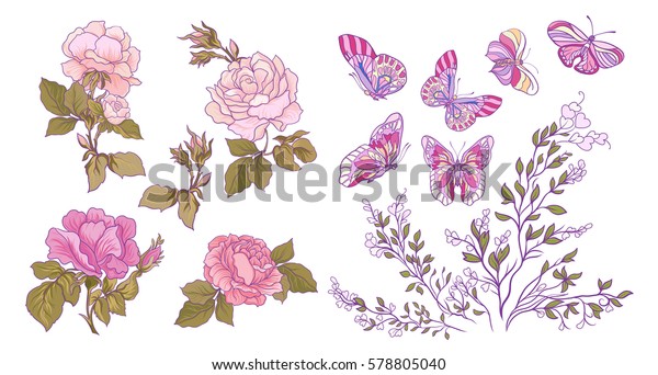 Download Rose Butterfly Branch Set Stock Line Stock Vector (Royalty ...