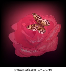 Rose with butterfly on a black background. Vector