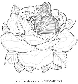 
Rose and butterfly.Coloring book antistress for children and adults. Illustration isolated on white background.Zen-tangle style.