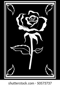 Rose card vector