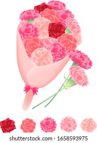 Rose and Carnation Illustration Set