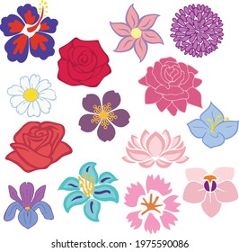 rose, chamomile, iris, lotus, peony, lily, orchid, set of flowers, bouquets, vector, contours of flowers, stencil of flowers, floral, pattern, pink, rose, isolated