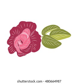 Rose claret handmade isolated on white background vector art abstract creative