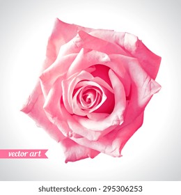 Rose close up. Vector art. Love concept for wedding invitations, cards, tickets, congratulations, branding, boutique logo, label. Red pink beige soft colors. Web, website and mobile interface