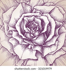 Rose close-up drawing, a design for wedding invitations cover, or different events