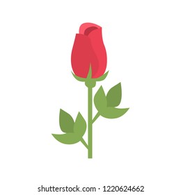 Rose color vector icon. Flat design