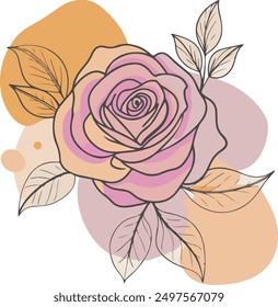 rose colorful line art vector illustration with color blobs style