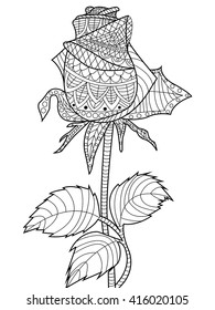 Rose coloring book for adults vector illustration. Flower anti-stress coloring for adult. Zentangle style. Black and white lines. Lace pattern