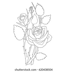 Rose coloring book page. Line flowers bouquet for coloring books.