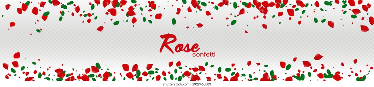The rose confetti on transparent background. Ped flowers blossom. Romantic creative composition. Love concept.