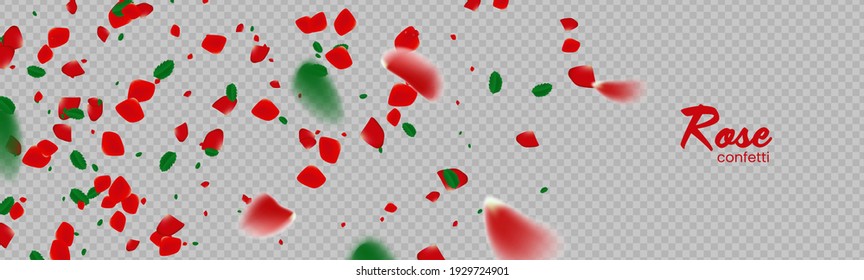 The rose confetti on transparent background. Ped flowers blossom. Romantic creative composition. Love concept.