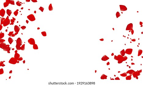 The rose confetti on white background. Ped flowers blossom. Romantic creative composition. Love concept