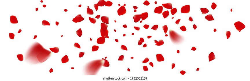 Rose Confetti On White Background Ped Stock Vector (Royalty Free ...