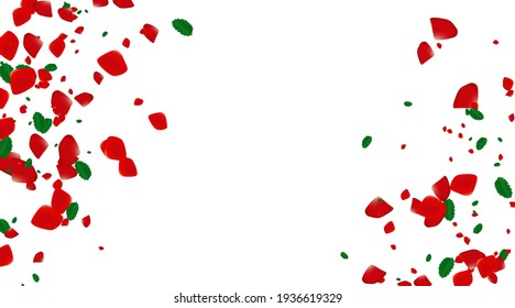 The rose confetti on white background. Ped flowers blossom. Romantic creative composition. Love concept.