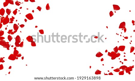 The rose confetti on white background. Ped flowers blossom. Romantic creative composition. Love concept