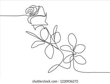 Rose. Continuous line