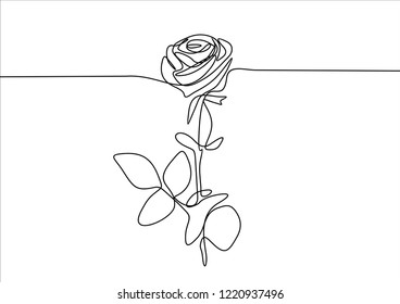 Rose Continuous Line Stock Vector (Royalty Free) 1220937496 | Shutterstock