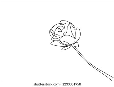 Rose. Continuous line