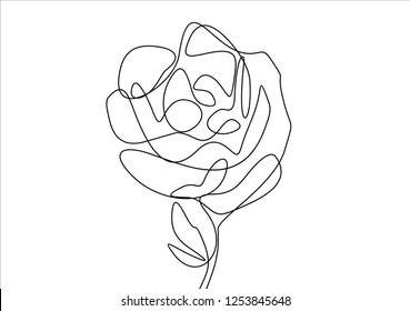 Rose. Continuous line