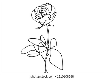 Rose. Continuous line