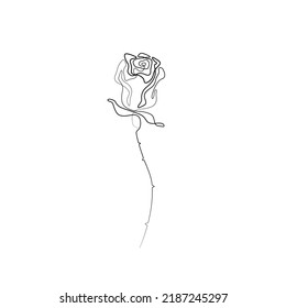 Rose continuous line drawing, tattoo, print for clothes and logo design, decorative flower silhouette single line on a white background, isolated vector illustration.