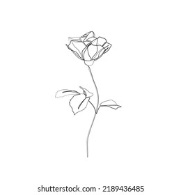 Dibujo continuo en rosa, tatuaje, impresión para diseño de ropa y logo, silueta decorativa de flores en una sola línea sobre un fondo blanco, ilustración vectorial aislada.
