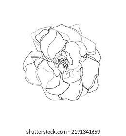 Rose continuous line drawing, tattoo, print for clothes and logo design, decorative flower silhouette single line on a white background, isolated vector illustration.