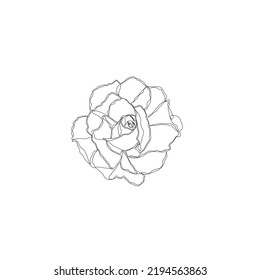 Dibujo continuo en rosa, tatuaje, impresión para diseño de ropa y logo, silueta decorativa de flores en una sola línea sobre un fondo blanco, ilustración vectorial aislada.
