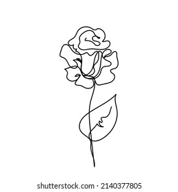 Rose continuous line, flowers garden, outline sketch style vector abstract art.