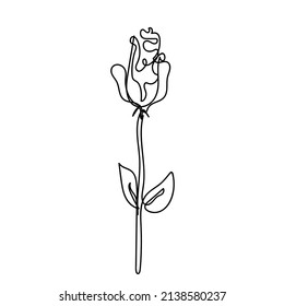 Rose continuous line, outline doodle sketch style vector abstract art.