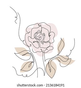 Rose continuous line , outline sketch style vector abstract art.