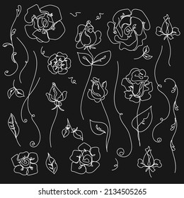 Rose continuous line set, garden roses, outline sketch style vector abstract art.