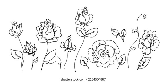 Rose continuous line set, outline sketch style vector abstract art.