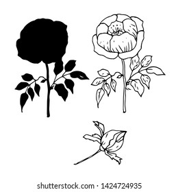 Rose in contour line and black silhouette. Vector illustration.