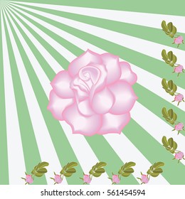 rose corner frame pink bud with leaves rays of the sun light background Art  creative vector design element