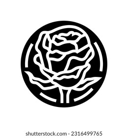 rose cosmetic plant glyph icon vector. rose cosmetic plant sign. isolated symbol illustration