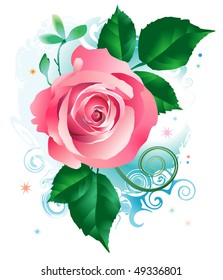 Rose dark pink color