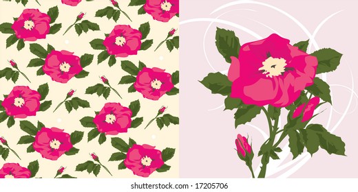 rose decor