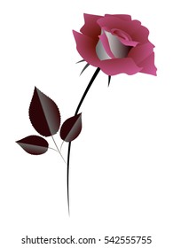 Rose, design element.