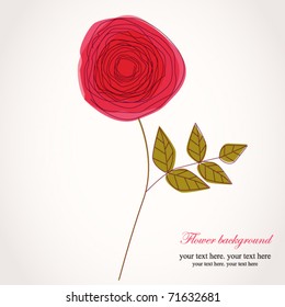 Rose, Doodblume