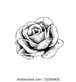 Rose Rendering Stock Illustration 108483731 | Shutterstock