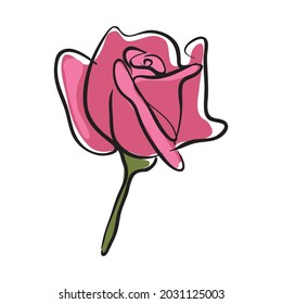 Rose drawing illustration vector isolated