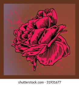 Pinta de dibujo de rosa