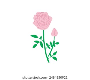 The rose is drawn by hand. Garden, flowers, plants. Vector flat illustration.