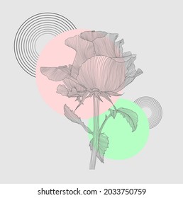 Rosa dibujada con líneas con puntos de color. Vector.